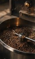 The roaster at Tueste Nueve.
